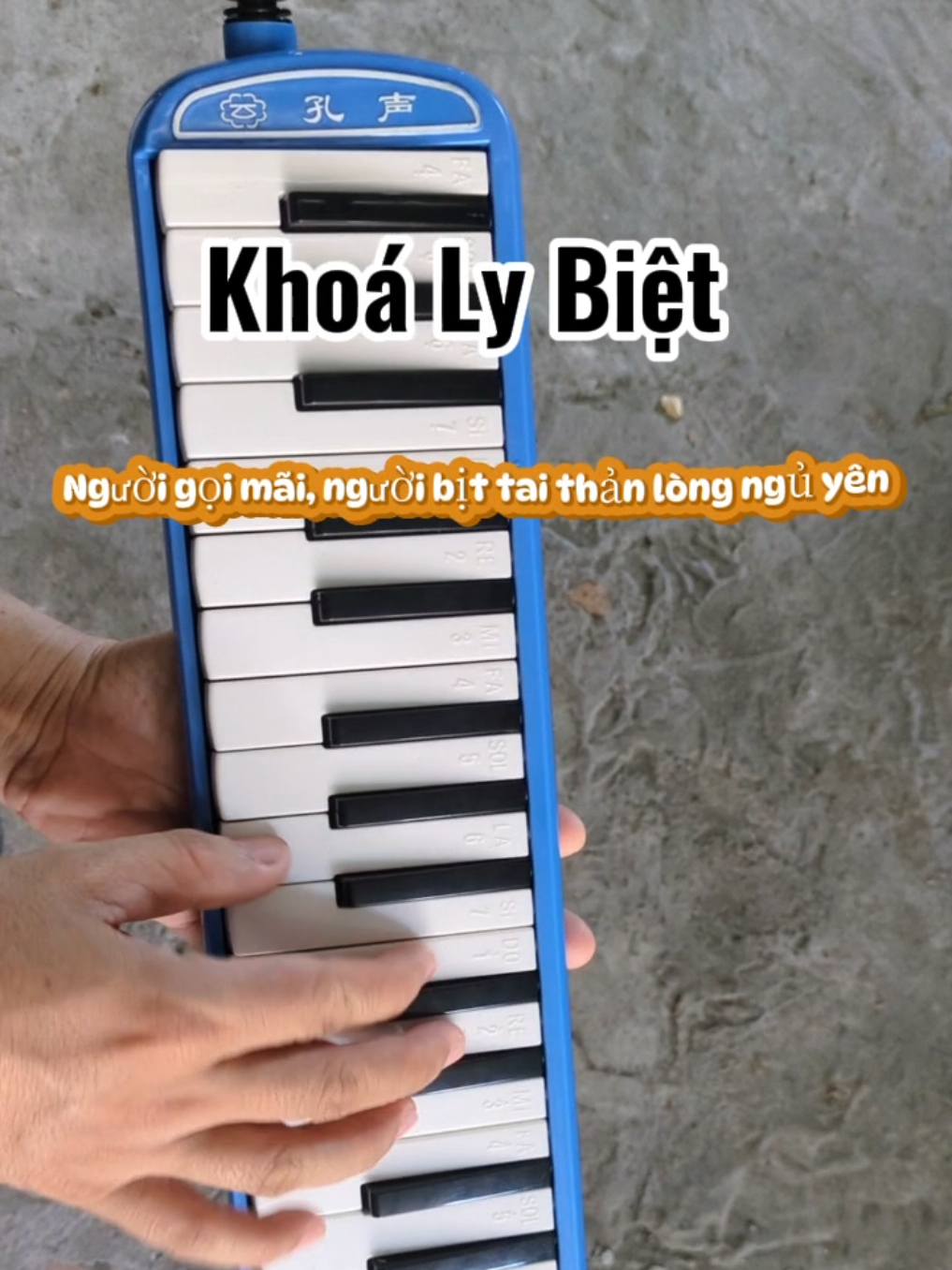 Kèn Melodica #kenmelodica #kenmelodicagiare #melodion 