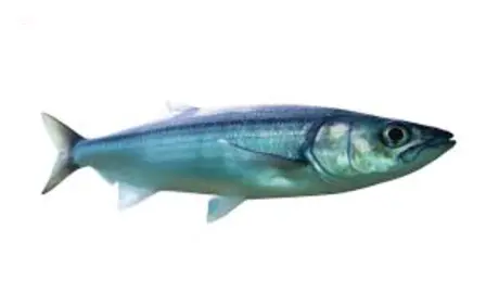 Bla bla bla ble ble ble blu blu blu bla bla bla ble ble blu blu blu Bla bla bla ble ble ble blu blu blu bla bla bla ble ble blu blu blu Bla bla bla ble ble ble blu blu blu bla bla bla ble ble blu blu blu Bla bla bla ble ble ble blu blu blu bla bla bla ble ble blu blu blu Bla bla bla ble ble ble blu blu blu bla bla bla ble ble blu blu blu Bla bla bla ble ble ble blu blu blu bla bla bla ble ble blu blu blu Bla bla bla ble ble ble blu blu blu bla bla bla ble ble blu blu blu Bla bla bla ble ble ble blu blu blu bla bla bla ble ble blu blu blu Bla bla bla ble ble ble blu blu blu bla bla bla ble ble blu blu blu Bla bla bla ble ble ble blu blu blu bla bla bla ble ble blu blu blu Bla bla bla ble ble ble blu blu blu bla bla bla ble ble blu blu blu Bla bla bla ble ble ble blu blu blu bla bla bla ble ble blu blu blu Bla bla bla ble ble ble blu blu blu bla bla bla ble ble blu blu blu Bla bla bla ble ble ble blu blu blu bla bla bla ble ble blu blu blu Bla bla bla ble ble ble blu blu blu bla bla bla ble ble blu blu blu Bla bla bla ble ble ble blu blu blu bla bla bla ble ble blu blu blu Bla bla bla ble ble ble blu blu blu bla bla bla ble ble blu blu blu Bla bla bla ble ble ble blu blu blu bla bla bla ble ble blu blu blu Bla bla bla ble ble ble blu blu blu bla bla bla ble ble blu blu blu Bla bla bla ble ble ble blu blu blu bla bla bla ble ble blu blu blu Bla bla bla ble ble ble blu blu blu bla bla bla ble ble blu blu blu Bla bla bla ble ble ble blu blu blu bla bla bla ble ble blu blu blu Bla bla bla ble ble ble blu blu blu bla bla bla ble ble blu blu blu Bla bla bla ble ble ble blu blu blu bla bla bla ble ble blu blu blu Bla bla bla ble ble ble blu blu blu bla bla bla ble ble blu blu blu Bla bla bla ble ble ble blu blu blu bla bla bla ble ble blu blu blu Bla bla bla ble ble ble blu blu blu bla bla bla ble ble blu blu blu Bla bla bla ble ble ble blu blu blu bla bla bla ble ble blu blu blu Bla bla bla ble ble ble blu blu blu bla bla bla ble ble blu blu blu Bla bla bla ble ble ble blu blu blu bla bla bla ble ble blu blu blu Bla bla bla ble ble ble blu blu blu bla bla bla ble ble blu blu blu Bla bla bla ble ble ble blu blu blu bla bla bla ble ble blu blu blu Bla bla bla ble ble ble blu blu blu bla bla bla ble ble blu blu blu Bla bla bla ble ble ble blu blu blu bla bla bla ble ble blu blu blu Bla bla bla ble ble ble blu blu blu bla bla bla ble ble blu blu blu Bla bla bla ble ble ble blu blu blu bla bla bla ble ble blu blu blu Bla bla bla ble ble ble blu blu blu bla bla bla ble ble blu blu blu Bla bla bla ble ble ble blu blu blu bla bla bla ble ble blu blu blu Bla bla bla ble ble ble blu blu blu bla bla bla ble ble blu blu blu Bla bla bla ble ble ble blu blu blu bla bla bla ble ble blu blu blu Bla bla bla ble ble ble blu blu blu bla bla bla ble ble blu blu blu Bla bla bla ble ble ble blu blu blu bla bla bla ble ble blu blu blu Bla bla bla ble ble ble blu blu blu bla bla bla ble ble blu blu blu Bla bla bla ble ble ble blu blu blu bla bla bla ble ble blu blu blu Bla bla bla ble ble ble blu blu blu bla bla bla ble ble blu blu blu Bla bla bla ble ble ble blu blu blu bla bla bla ble ble blu blu blu Bla bla bla ble ble ble blu blu blu bla bla bla ble ble blu blu blu Bla bla bla ble ble ble blu blu blu bla bla bla ble ble blu blu blu Bla bla bla ble ble ble blu blu blu bla bla bla ble ble blu blu blu Bla bla bla ble ble ble blu blu blu bla bla bla ble ble blu blu blu Bla bla bla ble ble ble blu blu blu bla bla bla ble ble blu blu blu Bla bla bla ble ble ble blu blu blu bla bla bla ble ble blu blu blu Bla bla bla ble ble ble blu blu blu bla bla bla ble ble blu blu blu Bla bla bla ble ble ble blu blu blu bla bla bla ble ble blu blu blu Bla bla bla ble ble ble blu blu blu bla bla bla ble ble blu blu blu Bla bla bla ble ble ble blu blu blu bla bla bla ble ble blu blu blu Bla bla bla ble ble ble blu blu blu bla bla bla ble ble blu blu blu Bla bla bla ble ble ble blu blu blu bla bla bla ble ble blu blu blu Bla bla bla ble ble ble blu blu blu bla bla bla ble ble 