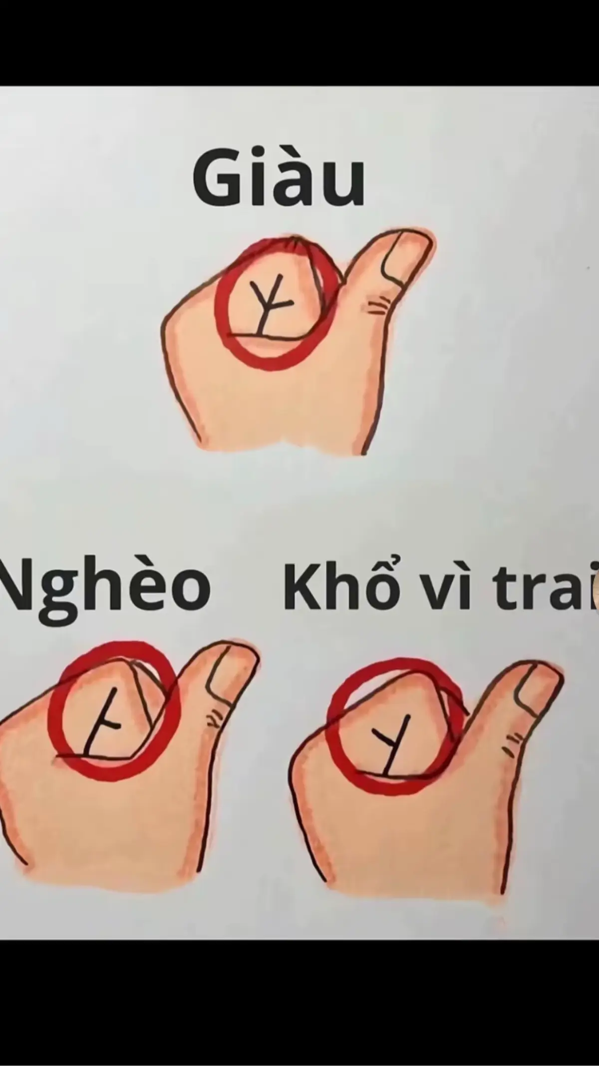 Giàu tình cảm kkkk