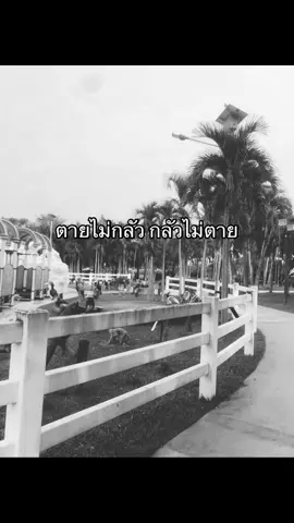 #เธรดความรู้สึก 