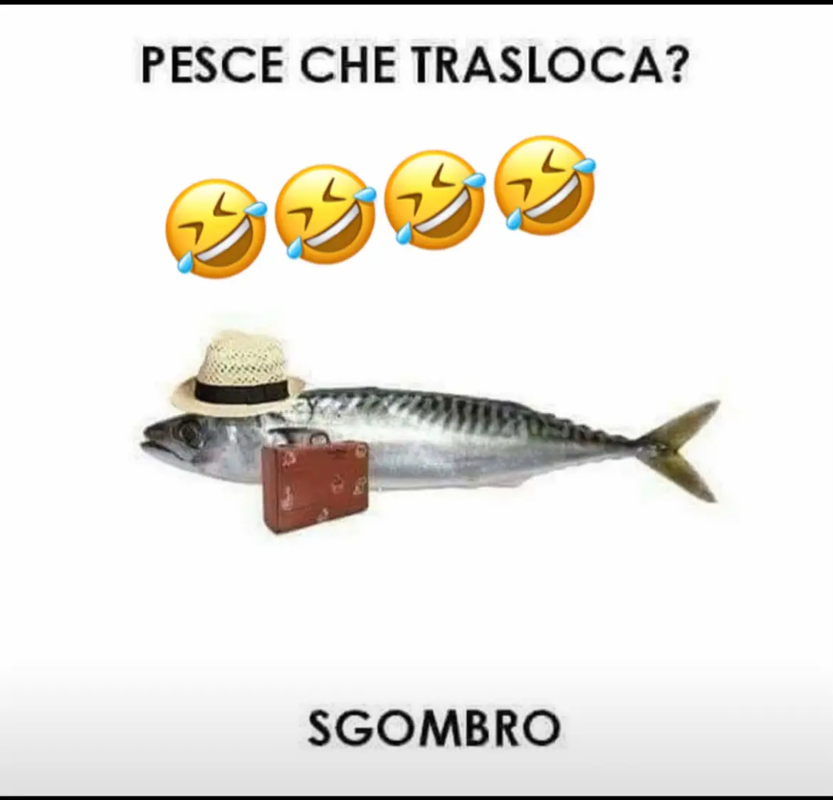 #ridichetipassa🤣 