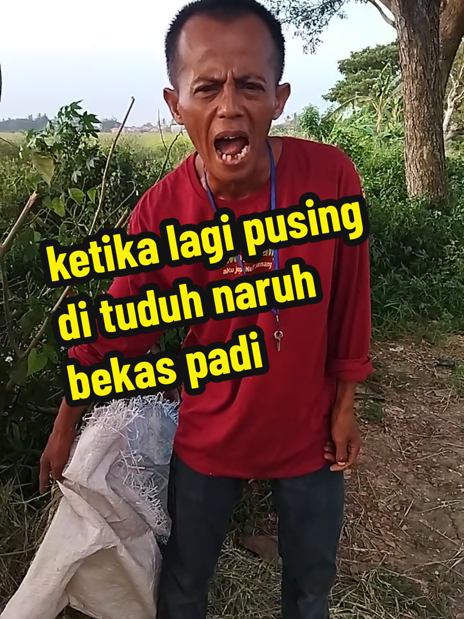 lagi pusing#fypシ゚viral #viralvideo #asalaja 