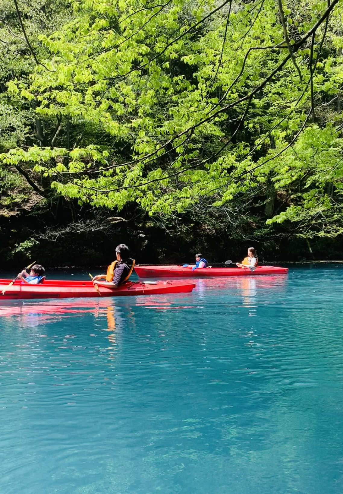 新緑がいい感じになってきました！🌿.∘ 家族旅行にもおすすめです！👍 ツアー詳細、予約はInstagramまで！！ #feelgoodcanoetours #feelgood #カヌー #アウトドア #四万 #四万湖 #四万温泉 #四万ブルー #群馬 #群馬旅行 #群馬デート #群馬観光 #デート #デートスポット #癒し #おすすめ 