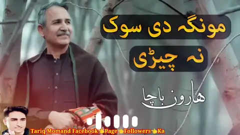 Munga De Sok Na Cheri - Haroon Bacha pashto Ghazal - Sad Song - ہارون باچا پشتو سونگ