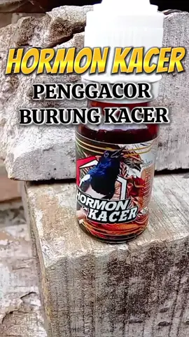 rekomendasi vitamin penggacor BURUNG KACER paska MABUNG tidak kunjung gacor #hormonkacer #vitaminpenggacorburung #penggacorburung #vitaminburung #burung #kacer #goci #hobiburung #kicaumania 
