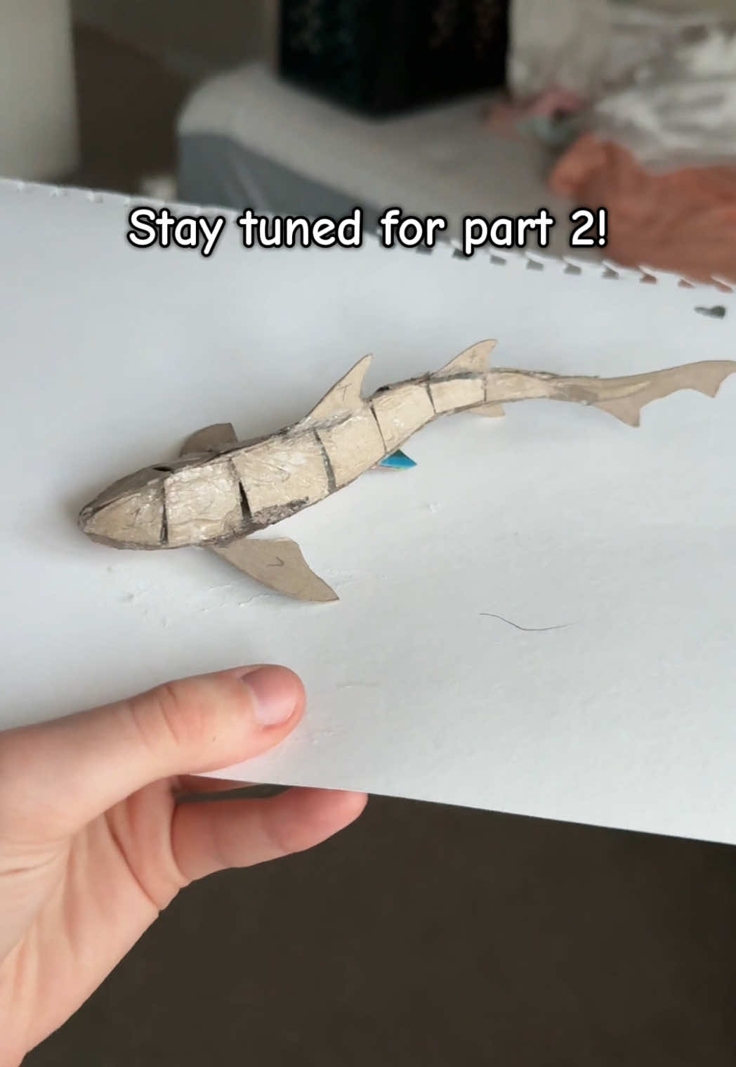 Cardboard leopard shark!! Blow this up🩵 #leopardshark #cardboard #DIY #fyp #craft #viral #shark