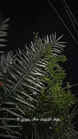 معزوفت حزين #تصوري #طبيعه 