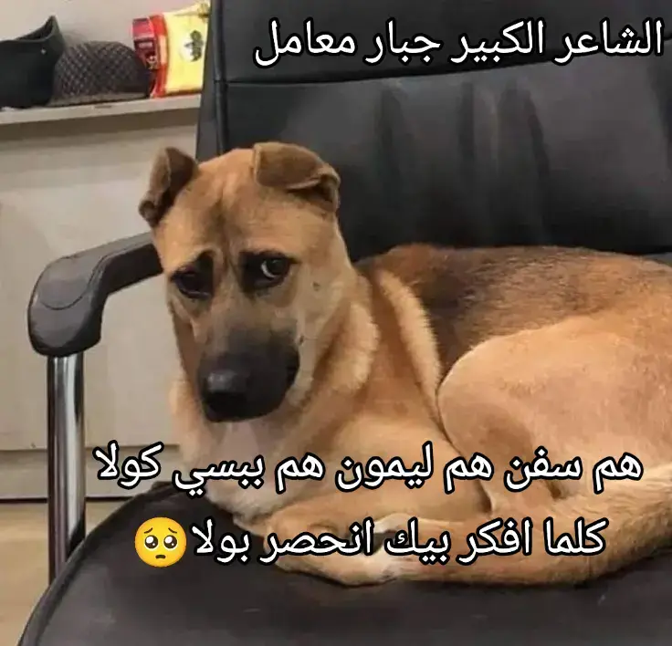 #شعب_الصيني_ماله_حل😂😂 