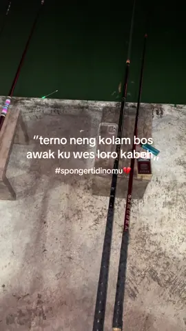 Kleleran tok 😭😭#blitar24jam #kpnatunablitar #kpnatuna #galatamalele #galatama #rilisanlele #rilisan #mancing 