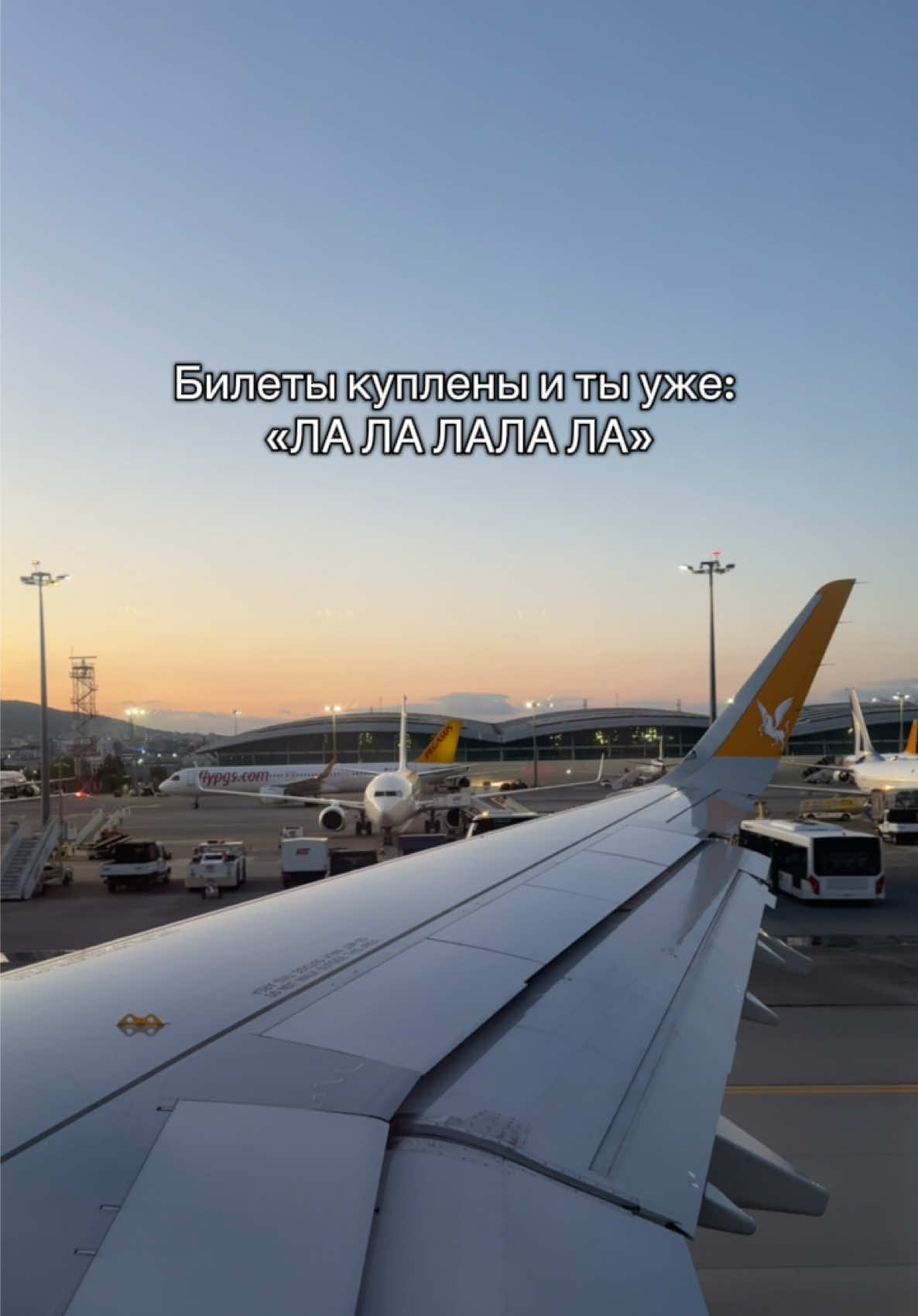 #лалала #билеты #самолет #стамбул #небо #самолеты #топтикток #реки #хочувреки #турция #перелет 