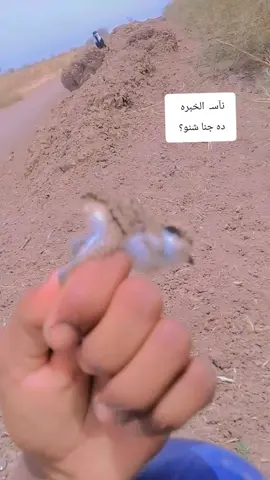 #حلفاالجديدة❤🇸🇩 #CapCut #القوات_المسلحة_السودانية🦅🇸🇩🦅 #مليون_مشاهدة❤ 