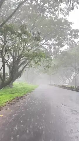 kase kata” sendiri jo 