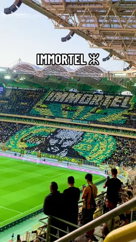 #ultras #tifo #craquage #supporter #jsk #jskabylie💛💚 #tiziouzou #stade #foot #explore #fyp #viralvideos 