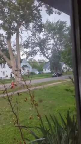 Be careful in windy weather #wind #statisfying #weather #storm #fyp 