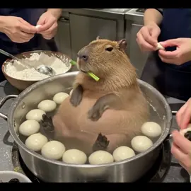 Hứa đợi nhưng chẳng tới #capybara #cute #nhachaymoingay #chill #fpyシ #viral 
