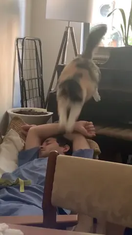 How the cat wakes you up from a deep sleep 😼#funnyvideos #cat #funnycat #pet #catoftiktok #catlover #kitten #funny #tiktok #cute 