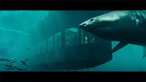🎬 47 Meters Down (2017) Two sisters find themselves trapped in a shark cage at the bottom of the ocean, with less than an hour of oxygen left and great white sharks circling nearby. 🦈🌊⏳ 👉 For more, follow @themoviecate 🎥 #47metersdown #thriller #horrortok #moviemagic #filmmaking #movienights #cinema #hollywood #actors #cinematography #filmclips #filmclips #movies #moviescene #moviestowatch #moviereview #themoviecate