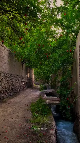 Old is gold beautiful village life 🌸          #foryoupage #oldisgold #explore #watan #oldhouse #typ #viralvideo #villagelife #shahab_afridi313 