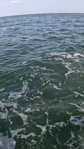 I can’t BELIEVE THIS Happened after Catching THIS Giant Fish!! #southernsalt #fishing #Outdoors #offshorefishing #jetskifishing 