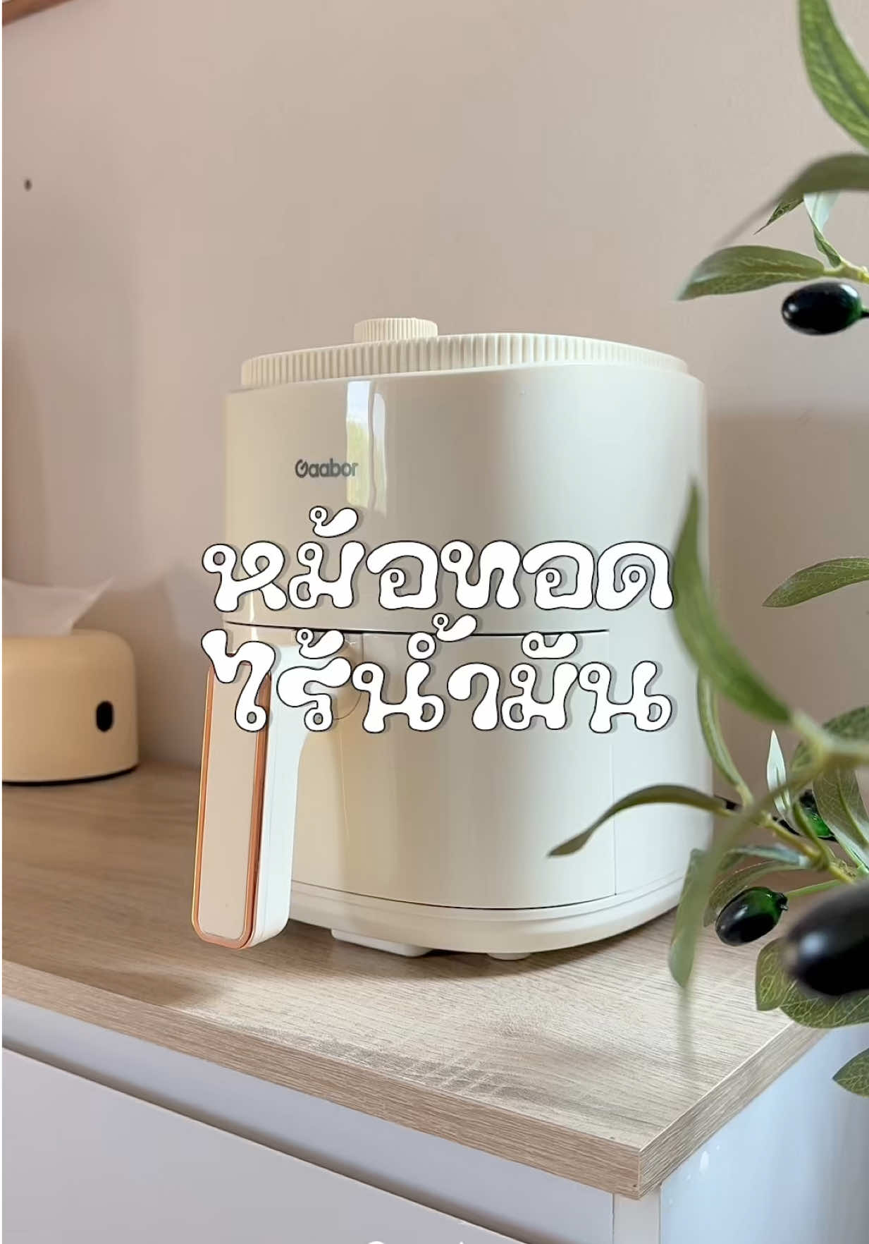 หม้อทอดไร้น้ำมันสำหรับคนรักสุขภาพ  ใช้งานง่ายมีเมนูแนะนำให้ถึง8เมนูเลย 🥓✨ ##หม้อทอดไร้น้ํามัน##หม้อไฟฟ้า##gaabor