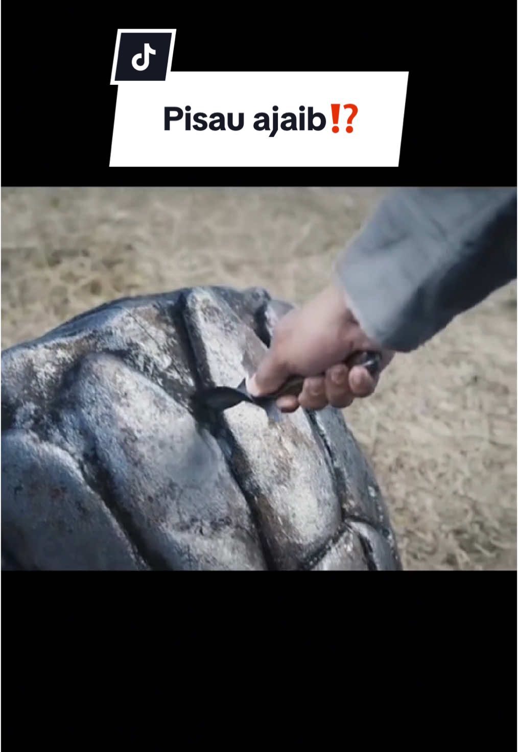 Ada yang pernah nemuin harta karun ini di dimensi lain juga???🤔😱 #Hanasui #UdahPastiCerah #60DetikUdahPastiHalus 