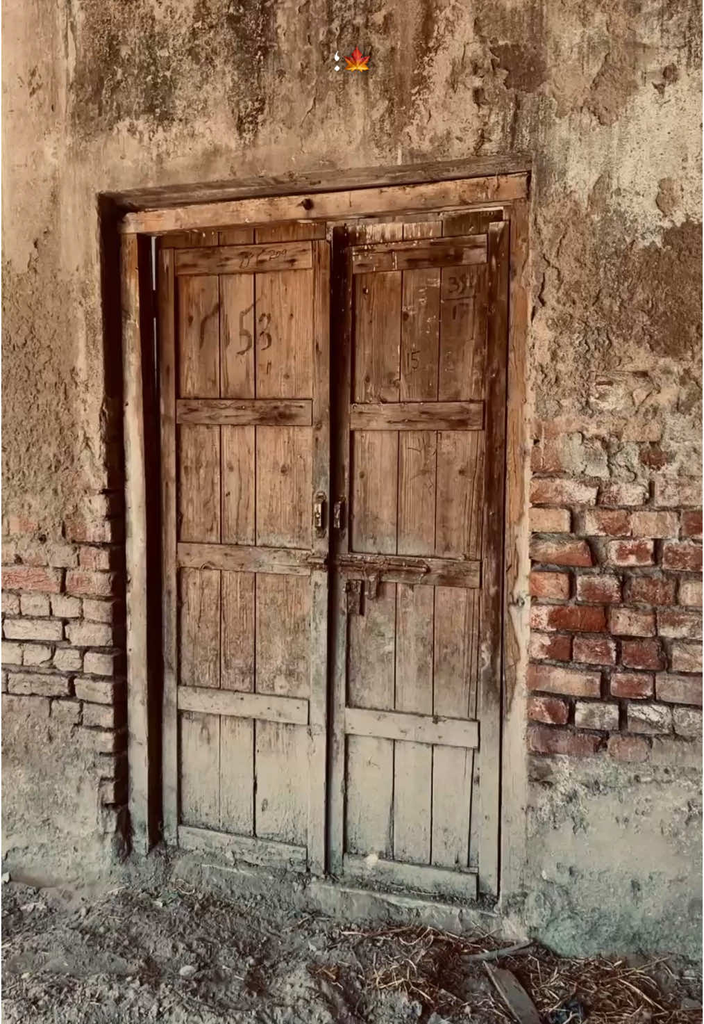 بھاوے اپنا مكان اے ميرا پر اے ميرا مكان تھوڑا اے ويلیا تو نه ظلم كر بھائيا ظلم لئى خاندان تھوڑااے 🍁❤️‍🩹 #fyp #photography #viral #poetry #punjab #unfrezzmyaccount 