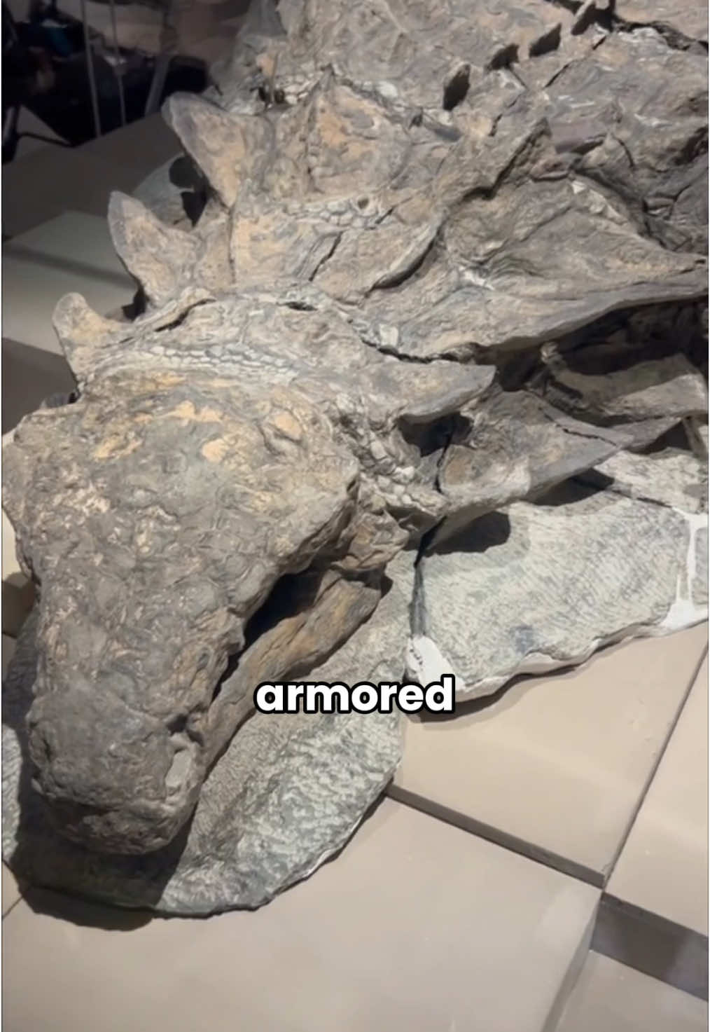 The Most Complete Dinosaur Fossil Ever Found