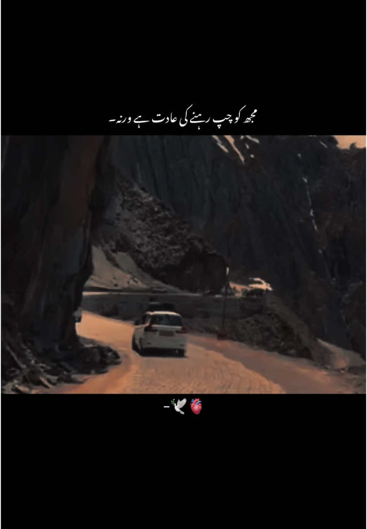 مجھ کو چپ رہنے کی عادت ہے ورنہ۔ 😏☠️#viralvideo #poetry #urduadablines #viral #fyp #foryoupage #urduadnsindhiaongvideo #views #tiotok_india #aesthetic @TikTok 