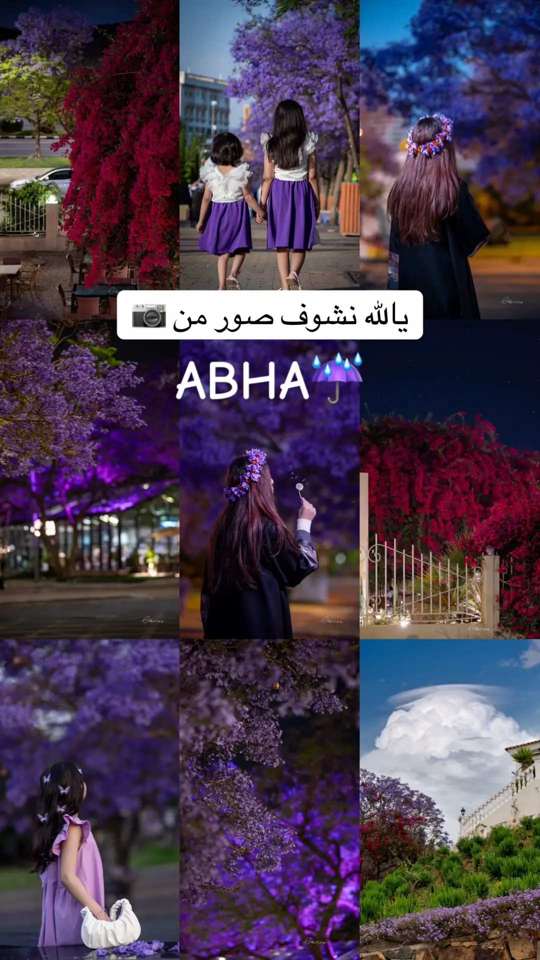 #تصويري #ابها #جاكرندا #fyp #اكسبلور #الجنوب #capcut #شارع_الفن #جاكرندا_ابها💜 #الجنوب #tiktok 