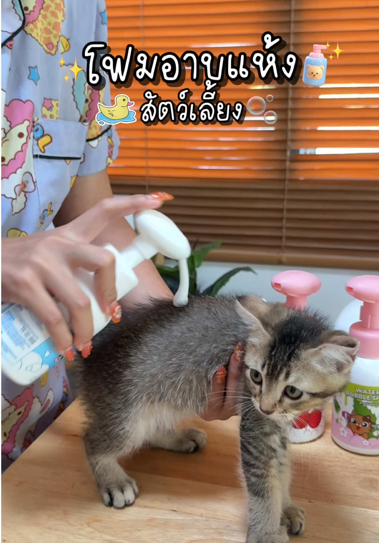 บ้านไหนน้องหมาน้องแมวอาบน้ำยาก ต้องลองใช้โฟมอาบแห้งตัวนี้เลยค่ะ ดีมากๆเลย😍💖✨ #แชมพูอาบแห้ง #แชมพูอาบแห้งแมว #แชมพูอาบแห้งสุนัข #แชมพูอาบแห้งสัตว์เลี้ยง #โฟมอาบแห้งสัตว์เลี้ยง #โฟมอาบแห้งแมว  #โฟมอาบแห้ง #โฟมอาบแห้งสุนัข #ของใช้สัตว์เลี้ยง #ป้ายยา #ของดีบอกต่อ #tiktokshopครีเอเตอร์ 