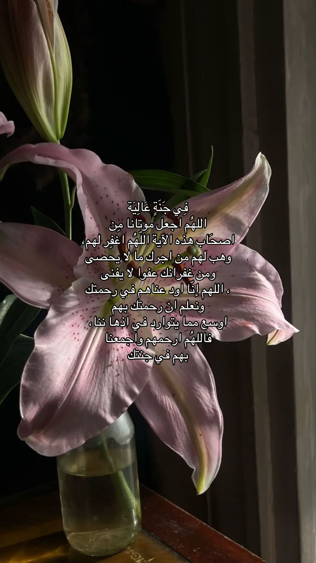 #الحمدلله_دائماً_وابداً❤️ #اللهم_انك_عفو_تحب_العفو_فاعف_عنا #صدقه_جاريه_لجميع_اموات_المسلمين #صدقه_جاريه_لفقيدي #fyp #foryou #اشهد_ان_لا_اله_الا_الله #الحمدالله_علی_کل_حال❤ #اكسبلور #اجر #