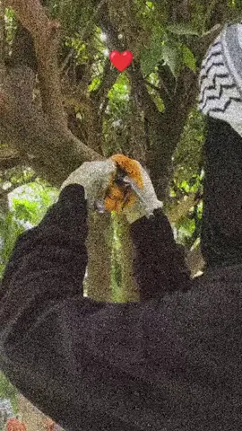 #💔🙂🥀 