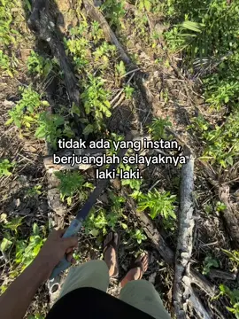 Semangat..🌴💸🤍❤️‍🔥#petanimuda #sawitsumatra #petanisawit #fyp 