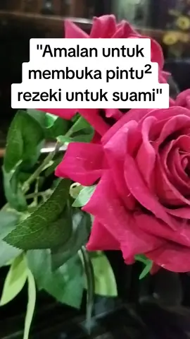 Amalan untuk membuka pintu-pintu rezeki untuk suami