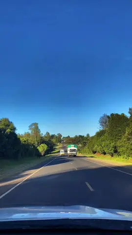 Nanyuki - Timau Road .. Pure Bliss 👌 #Nanyuki #nanyukitiktokers #merutiktokers #Merucounty #TembeaKenya #Kenya #magicalkenya 