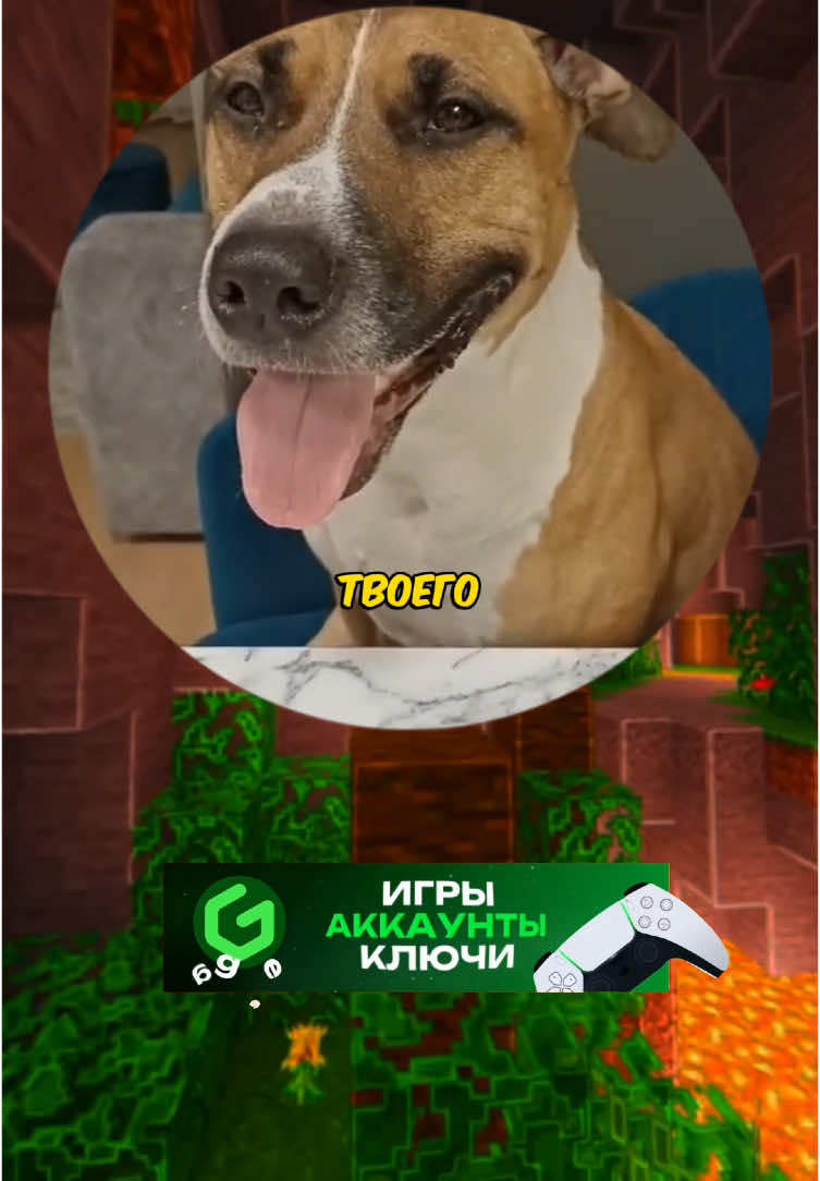 #приколыдослёз😂😂😂😂😂😂😂😂😂😀 #ржакатоп #угарноевидео 