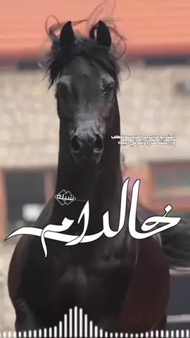 أفخم شيلة باسم ام خالد حماسيه 2025 شيلة ام خالد جديده #السعوديه🇸🇦#الكويت🇰🇼 #قطر_الدوحة🇶🇦 #البحرين🇧🇭 #الامارات#-للطلب_الشيلات_والزفات_التواصل_معنا_وتساب_من_داخل_المملك-شيلات_زفات_تخرجات_مواليد_عقد_قرآن_مولوده_مولود شيلات الخروج من_الاندين ظظة سجن_شيلات_خروج - بسلامه - شيلات -شفاءوسلامه_شيلات_تقاعد_تخرج_ملازم_تخرج_عسكري_تخرج_من_الدفاع_المدني_الكويت_قطر_السعوديةالامارات_البحرين_الكويت_الرياض_المدينه_ابها_شيلات_حماسيه_طرررب_شيلات_عرسان_شيلات_ام_العروس_شيلات_ام_العروسه_شيلات_خطوبه_زفات_بالاسماء_ز فات_بدون اسماء - كتابة كلمات_جديدة 0545069083 966من- خارج- المملكه-0545069083 #استديو_اللمسه-الماسيه_لتنفيذ_الشيلات_والزفات والقصائدالشعريه_لجميع_المناسبات_شيلات_مهنا_العتيبي_فهد_العلي_النايف_فواز_العنزي_شيلات_بنت_ابوها_شيلة_شامخه_بنت_ابوها_الرياض_جده_مها_شيلة_شامخه_بنت_ابوها_الرياض_جده_مكه_المكرمه_ابها_قطر_البحرين_الكويت_الامارات_شيلات_سعد_محسن_شيلات_ناصر_السيحاني_شيلات_عز_السعود_شيلات_قايد_الوبيري_2024_شيلات_فلاح_المسردي_شيلات_الجف راني شيلات البندر_بن_عوير_فهد_بن_فصلا_محمد_بن_غرمان_جديد_كتابة_كلمات_جديدة_0545069083_من_خارج_المملكه0545069083_استديو_الزينه#للطلب_الشيلات_التواصل_معنا_وتساب_من_داخل_المملك_شيلات_زفات_تخرجات_موال-بسلامه-شيلات-شفاء_وسلامه_شيلات_تقاعد_تخرج_ملازم_تخرج_عسكري_تخرج_من_الدفاع_المدني_الكويت_قطر_السعودية_الامارات_البحرين_الكويت_الرياض_المدينه_ابها_شيلات_حماسيه_طرررب_شيلات_عرسان_شيلات_ام_العروس_شيلات_ام_العروسه_شيلات_خطوبه_زفات_بالاسماء_زفات_بدون_اسماءكتابةكلمات_جديدةء_زفات_بدون_اسماء_كتابة_كلمات_0545069083من_خارج_المملك-0545069083استديو_اللمسه-الماسيه_لتنفيذ_الشيلات_والزفات_والقصائد_الشعريه_لجميع_المناسبات_شيلات_مهنا_العتيبي_فهد_العلي_النايف_فواز_العنزي_شيلات_بنت_ابوها_شيلة_شامخه_بنت_ابوها_الرياض_جده_مكه_المكرمه_ابها_قطر_البحرين_الكويت_الامارات_شيلات_سعد_محسن_شيلات_ناصرالسيحاني_شيلات_عز_السعود_شيلات_قايد_الوبيري_2024_شيلات_فلاح_المسردي_شيلات_الجفراني_شيلات_بندر_بن_عوير_فهد_بن_فصلا_محمد_بن_غرمان_جديد_كتابة_كلمات_جديدة_من-خارج_المملكه0545069083#للطلب_الشيلات_والزفات_التواصل_معنا_وتساب_من_داخل_المملكه-شيلات_زفات_تخرجات_موالید_عقد_قرآن_مولوده_مولود_شيلات_خروج_من_السجن_شيلات_خروج-بسلامه_شيلات-شفاء_وسلامه_شيلات_تقاعد_تخرج_ملازم_تخرج_عسكري_تخرج_من_الدفاع_المدني_الكويت_قطر_السعودية_الامارات_البحرين_الكويت_الرياض_المدينه_ابها_شيلات_حماسيه_طرررب_ شيلات_عرسان_شيلات_ام_العروس_شيلا ت_ام_العروسه_شيلات_خطوبه_زفات_بالاسما ء_زفات_بدون_اسماء -خارج_المملكه- ع_المناسبات_شيلات_مهنا_العتيبي_فهاد_ العلي_النايف_فواز_العنزي_شيلات_بنت_ابوها_شيلة_شامخه_بنت_ابوها_الرياض_جده_مكه_المكرمه_ابها_قطر_البحرين_الكويت_الامارات_شيلات_سعد_محسن_شيلات_ناصر_السيحاني_شيلات_عز_السعود_شيلات_قايد_الوبيري_2024_ شيلات_فلاح_المسردي_شيلات_الجفراني_شيلات بندر بن عوير_فهد_بن_فصلا_محمد_بن_غرمان_جديد_كتابة_كلمات_جديد