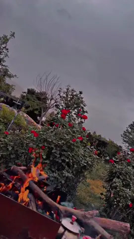 کەس دوای کەس نامرێت  بەس جوان نیە کەسێک هۆگری خۆت بکەیت و جێی بهێڵی🥺🤍#foryoupage #kurdistan #slemani #🥺🤍🦋 