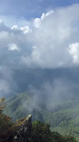 เมื่อเราได้อยู่กับธรรมชาติ เท่ากับเราได้อยู่กับตัวเอง🌧️⛰️🍃🌱⛅️ #เดินป่า #ป่าใต้ #เขาเหมน #เขาเหมนนครศรีธรรมราช 