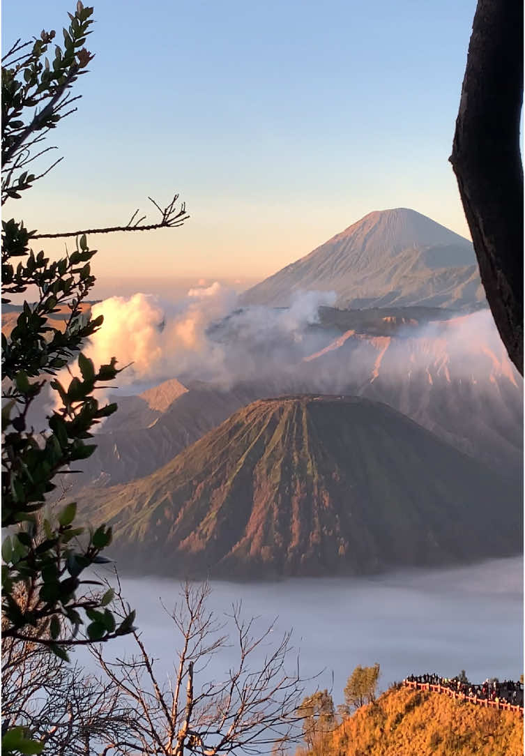 sudah masuk musimnya lautan awan yang kalian cari ya gaes🤩 📍Gunung Bromo #fyp #fypシ #bromo #bromomountain #bromotenggersemeru #gunungbromo 