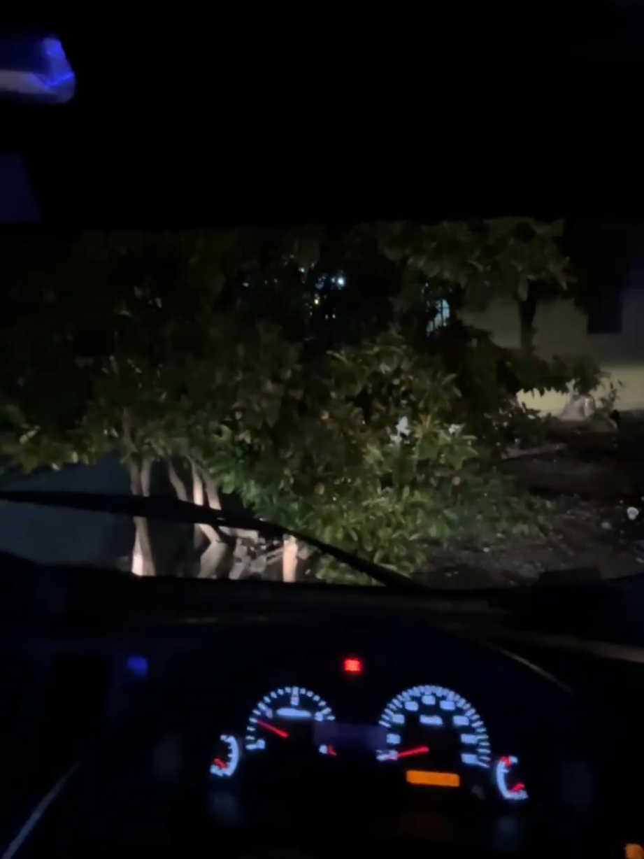 Info muatan bolo...😎😎🍭🍭🍭 #izuzu #xyzabc #nlr85bleuro4 #pesonaindonesia #traveltiktok #pesonaindonesia #xyzbcafypシ #hartonoputrakaroseri #hyder 