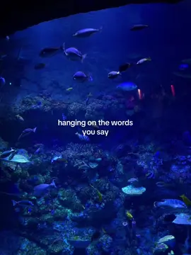 #dive #edsheeran 