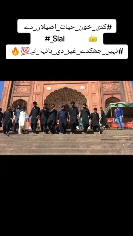 #viralvideo #جھنگ_والے_حاضری_لگواؤ۔۔۔۔۔ #جھنگ_دا_ڈھولا #🤔 