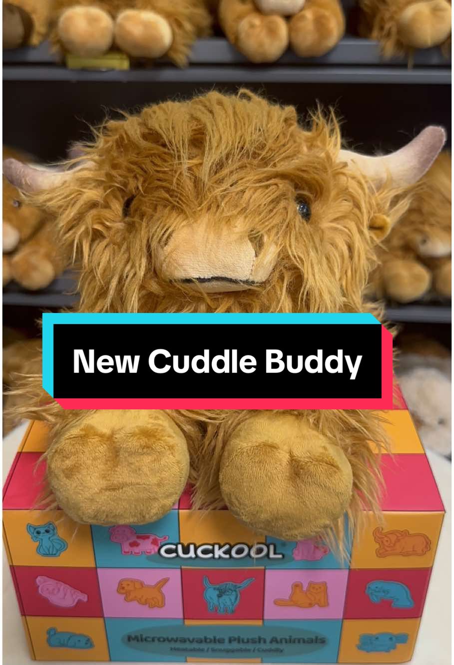 Soft, Fluffy & Heatable Highland Cow Plush ❤️✨#stuffedanimals #plushies #highlandcow#giftideas 