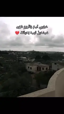 #شهداء #شهيد #شهداء_الجنوب #شهداء_جنوب_لبنان🥺🇱🇧 #تاريخ #شهيد💔💔 #السيد_حسن_نصر_اللہ💛 