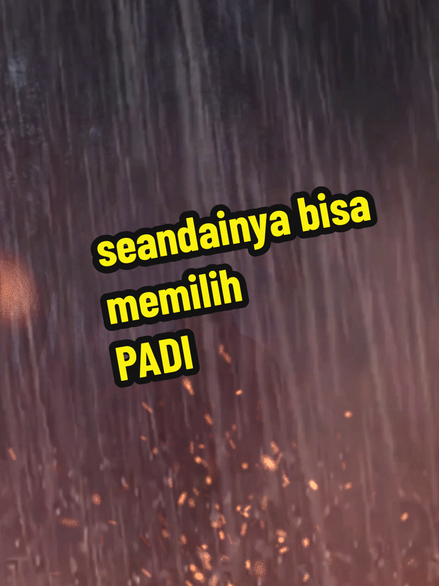 VT 118 || Seandainya bisa memilih #padiband #padireborn #quotestory #liriklagu #musikindo #sobatpadi #fyp 