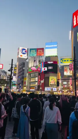 #fyp #kenshuseijapan🇮🇩🇯🇵🎌 #4u 