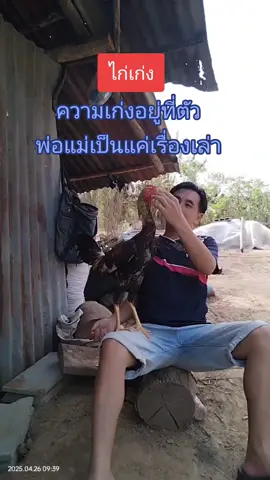 ไก่เก่งไม่เลือกที่เกิด #สวนสัตว์tiktok  #ไก่ชน  #ไก่พม่า  #คนเลี้ยงไก่  #คนรักไก่  #คนรักไก่ชน  #จังโก้ไก่พาเพลิน 