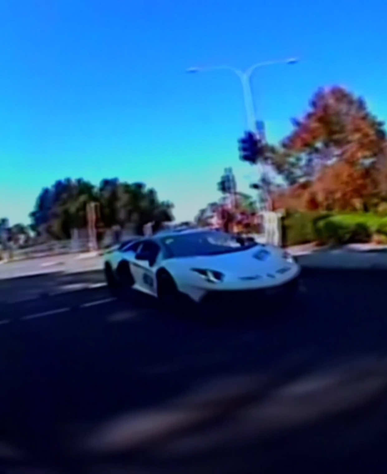 i love my vhs camera #fyp #cars #lamborghini #ferrari #porsche #mclaren #mercedes #f40 #911 #vhsedit #carsoftiktok #vhs #fp #viral #perth #fy @Classic Cars & Coffee Perth 