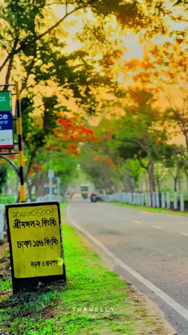 শ্রীমঙ্গলের পথে একটুখানি ভ্রমণ, সারাজীবনের স্মৃতি, চায়ের শহর ডাকছে  ঘুরতে চলে আসুন শ্রীমঙ্গল  ।#reels #travel #best #training #travelly #instagram #sylhet #Sreemangal #natural #bangladesh #dance #fypp #tiktok #foryou
